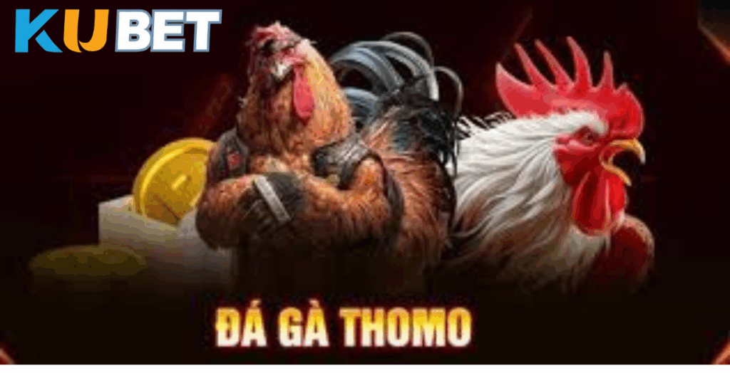 ĐÁ GÀ THOMO FR8896