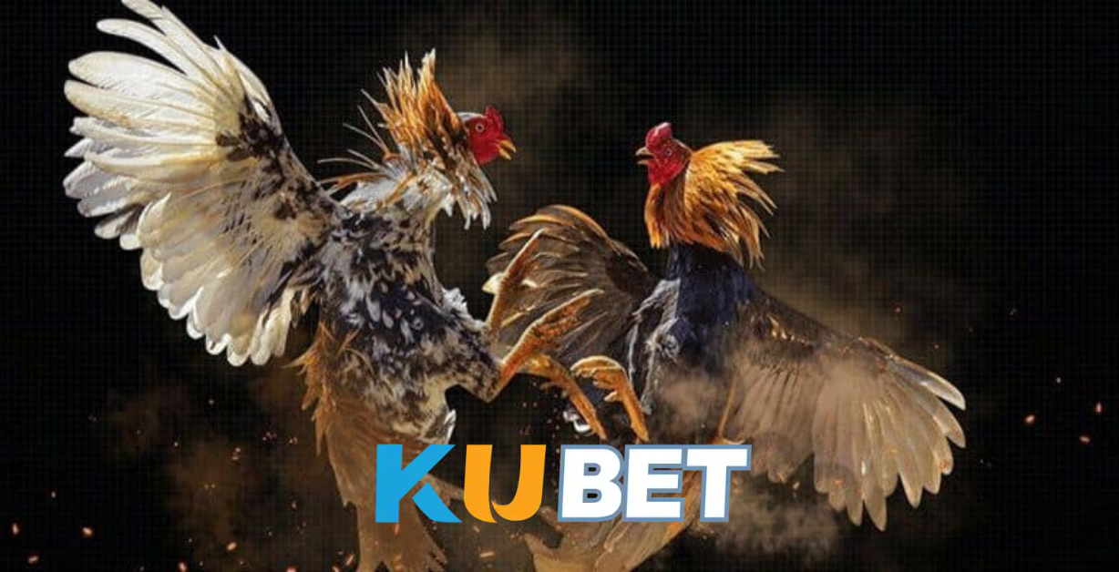 Đa dạng loại hình đá gà FR8896